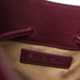 Serene Mini Burgundy detay